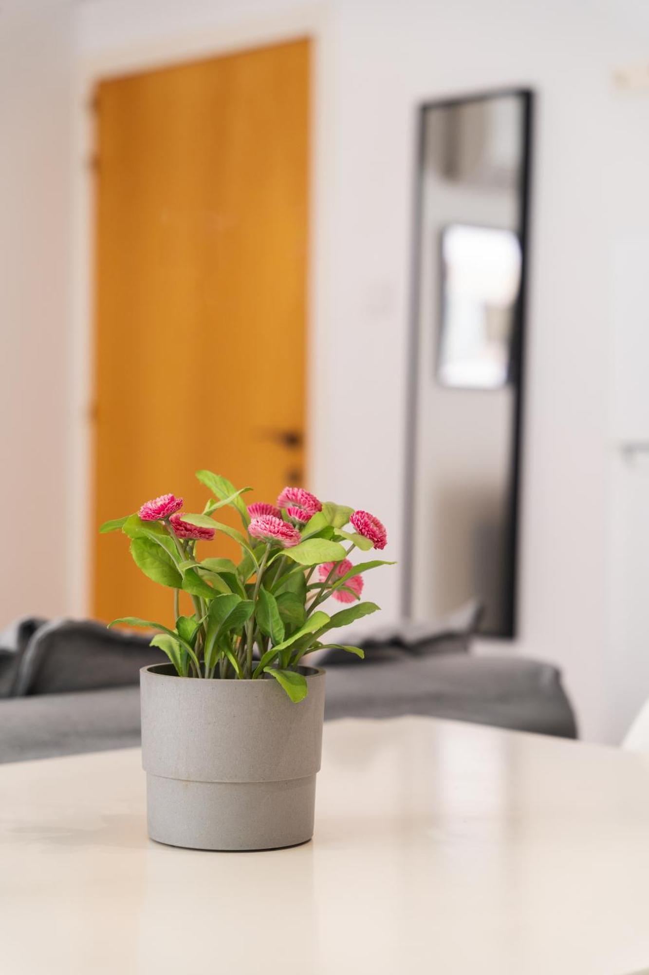 Apartament Kave Blue Mackenzie 1 Bdr Flat With Pool Larnaca Zewnętrze zdjęcie